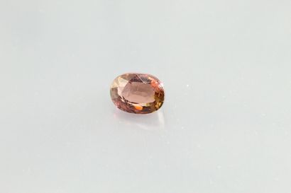 null Oval pink/green tourmaline on paper.

Weight: 1, 55 cts. 

Egrisure.