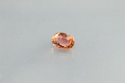 null Pink tourmaline oval on paper.

Weight: 1, 09 cts.