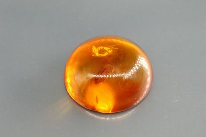 null Amber cabochon on paper.

Probably heated. 

Weight : 3, 53 cts.
