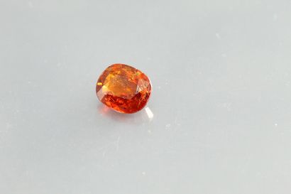 null Grenat "reddish orange" - Spessartite ovale sur papier.

Namibie. 

Poids :...