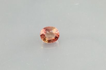 null Pink tourmaline oval on paper.

Weight: 1, 66 cts.