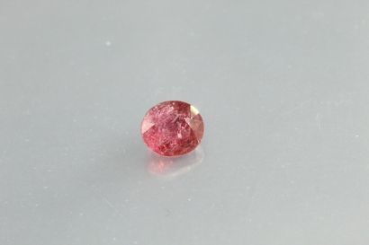 null Tourmaline rose "purplish-pink" ovale sur papier.

Mozambique.

Poids : 1, 12...