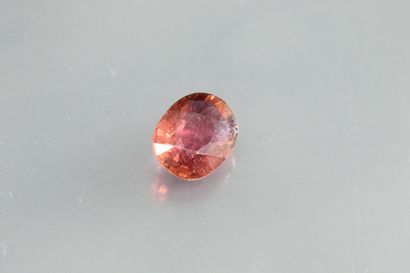 null Pink tourmaline oval on paper.

Weight : 1, 98 cts.