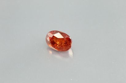 null Grenat "orangish red" - Spessartite ovale sur papier. 

Namibie.

Poids : 1,...