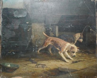GABE Eugène (XIXe siècle), Chien chassant des rats huile sur panneau (usures, manques...