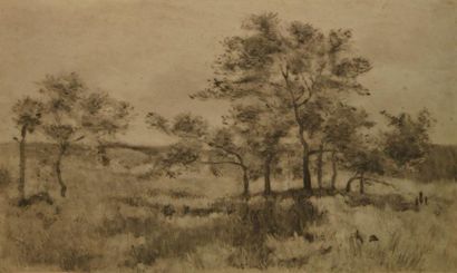 PEARCE Charles Sprague, 1851-1914, Le printemps, sous-bois, gravure, non signée,...