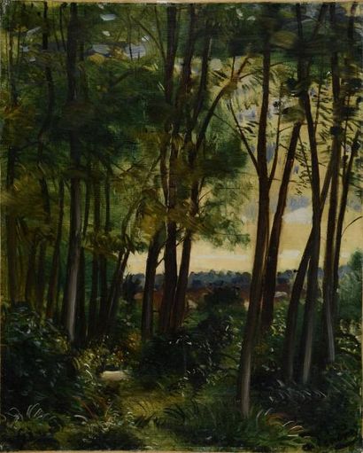 DERAIN André, 1880-1954 Sous-bois. Huile sur toile rentoilée, signée en bas à droite,...
