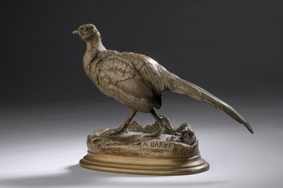 BARYE Alfred, 1839-1882, 
Faisan, 
bronze...