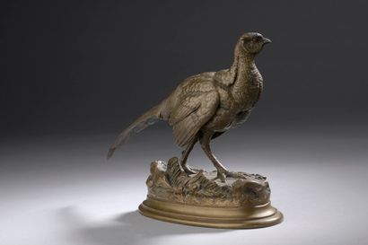 null BARYE Alfred, 1839-1882,

Pheasant,

bronze with medal patina, on the terrace:...