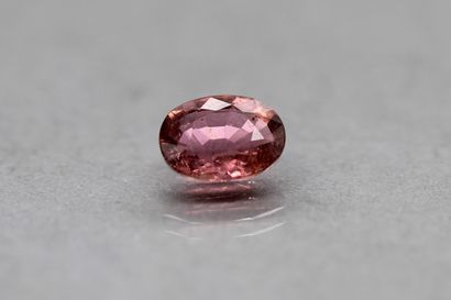 Pink tourmaline oval on paper.

Weight :...