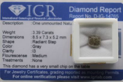 null Diamant "gray" radiant à pans coupés sous scellé.

Accompagné d'un certificat...