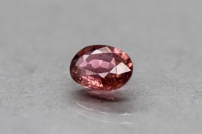 null Pink tourmaline oval on paper.

Weight : 1.99 cts.

Plan of detachment and ...