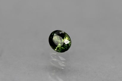 null Green oval sapphire on paper.

Weight: 0.57 ct.