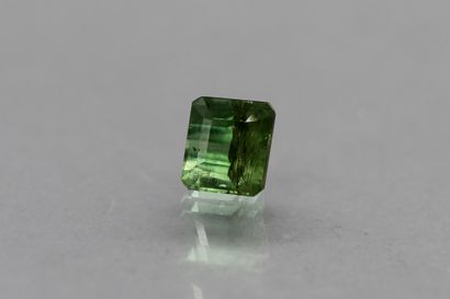 null Tourmaline "leaf green" octagon on paper.

Weight: 2.33 cts.

Plans of deta...