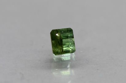 null Tourmaline "leaf green" octagon on paper.

Weight: 2.33 cts.

Plans of deta...