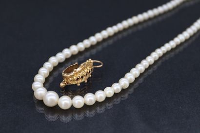 Necklace cultured pearls in fall. The clasp...