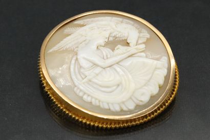 null Shell cameo showing a woman dressed in antique style giving a drink to an eagle.

Mounted...