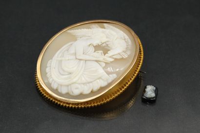null Shell cameo showing a woman dressed in antique style giving a drink to an eagle.

Mounted...