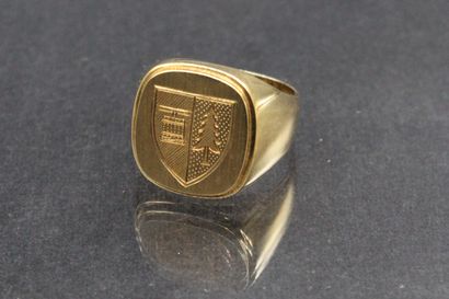 null Chevalière in 14k (585) yellow gold with coat of arms. 

Weight : 12,86 g -...