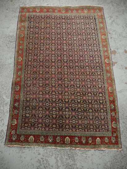 null Fine Bidjar carpet - Iran

Middle of the XXth century

Wool velvet on cotton...
