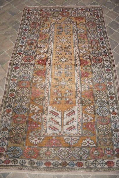 null Melas carpet - Turkey

Middle of the XXth century

Wool velvet on wool foundation

Dim....