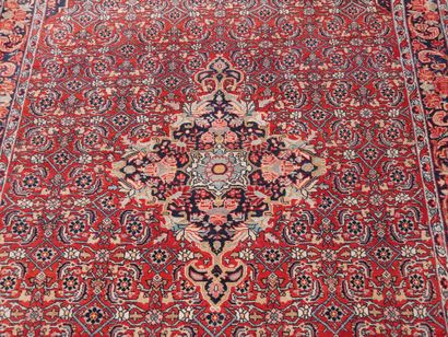 null Bidjar carpet - Iran

Middle of the XXth century

Wool velvet on cotton foundation.

Dim....