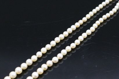 null Necklace of cultured pearl in fall. Clasp in 18k (750) yellow gold. 

Necklace...