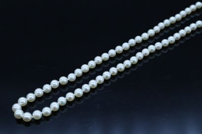 null Necklace of sixty cultured pearls (from Taburiaux house), clasp in 18k (750)...