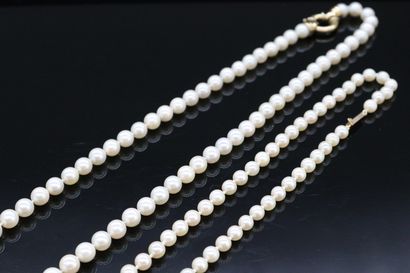 null Deux colliers de perles de cultures choker. Les fermoir en or jaune 18k (750)....