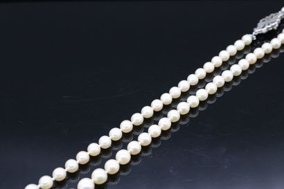 null Necklace of cultured pearls in fall, the clasp in white gold 18k (750) stylizing...