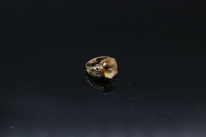 null Yellow gold ring set with an oval citrine (shocks)

Hallmark of master

Eagle...
