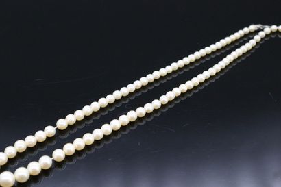null Necklace of cultured pearls in fall. The clasp in 18k (750) white gold. 

Necklace...