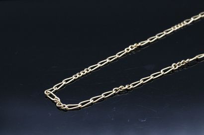 null Chain in 14k yellow gold (585). 

Scallop shell hallmark.

Necklace : approx....