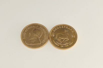 null Lot of 2 gold coins of 1 krugerrand; 

Weight : 67.80 g.