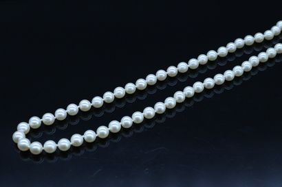 null Necklace of sixty cultured pearls (from Taburiaux house), clasp in 18k (750)...