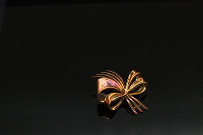 null 14k yellow gold bow brooch (585)

Weight : 5.72 g. : 5.72 g.