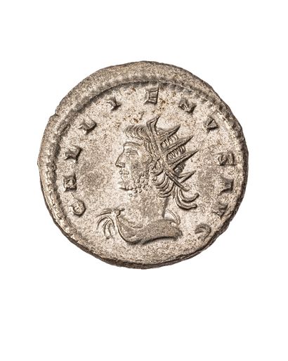 VALERIEN II (257-258) 
Antoninien 
A/ DIVO...