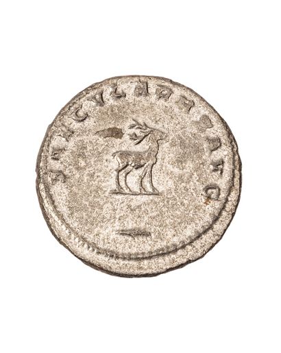 null GALLIEN 

Antoninian 

R/ SAECULARH (sic) AUG Stag. 

Issued for the secular...
