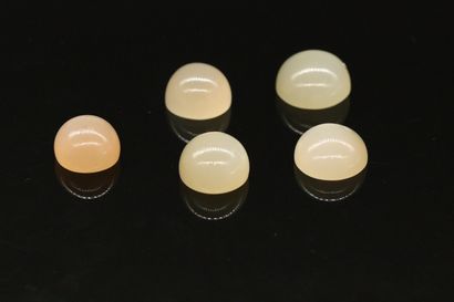 null Lot of 5 moonstones cabochons on paper. 

Total weight : 35.67 cts.