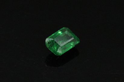 null Rectangular tsavorite garnet with cut sides on paper.

Weight : 2.54 cts.