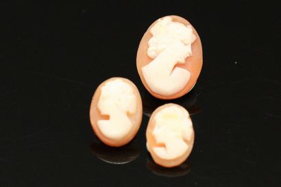 null Set of three cameos with women's profiles. 

Heights: from 12 to 18 mm.
