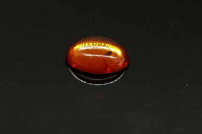 null Cabochon of amber on paper.

Weight : 11.63 cts.