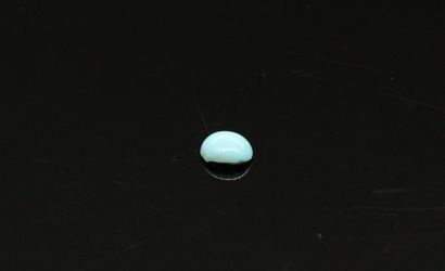 null Turquoise cabochon on paper. 

Weight : approx. 0.90 cts.