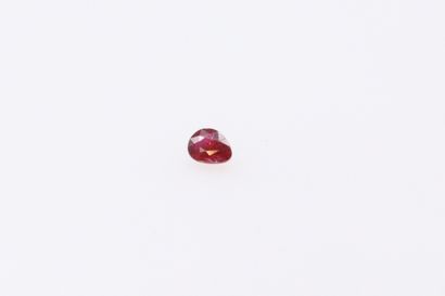 null Pear ruby on paper. 

Weight : 0.21 cts.