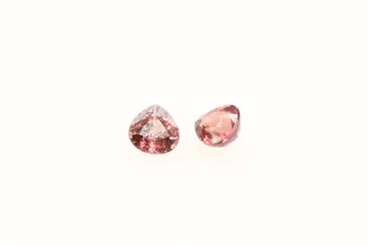 null Pairing of pink pear sapphires on paper. 

Weight : 0.33 cts.