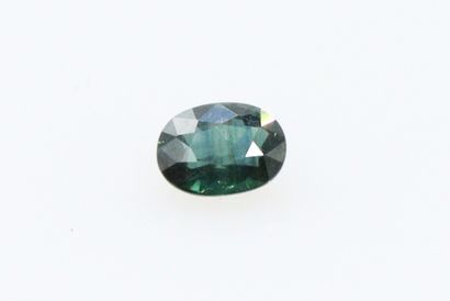 null 
Oval sapphire on paper. 




Weight : 0.49 ct.
