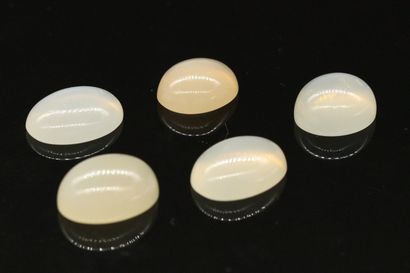 null Lot of 5 moonstones cabochons on paper. 

Weight : 28.81 cts.