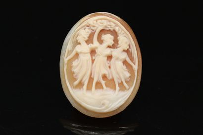 null Shell cameo with three dancing women. 

Height: 3.5 cm.