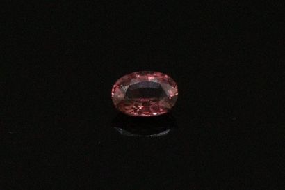 null Pink sapphire oval on paper.

Weight : 0.23 cts.