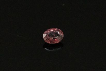 null Oval purple sapphire on paper. 

Weight : 0.27 cts.